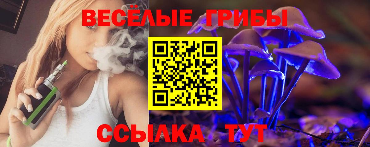 Псилоцибиновые грибы прущие грибы Солнечногорск