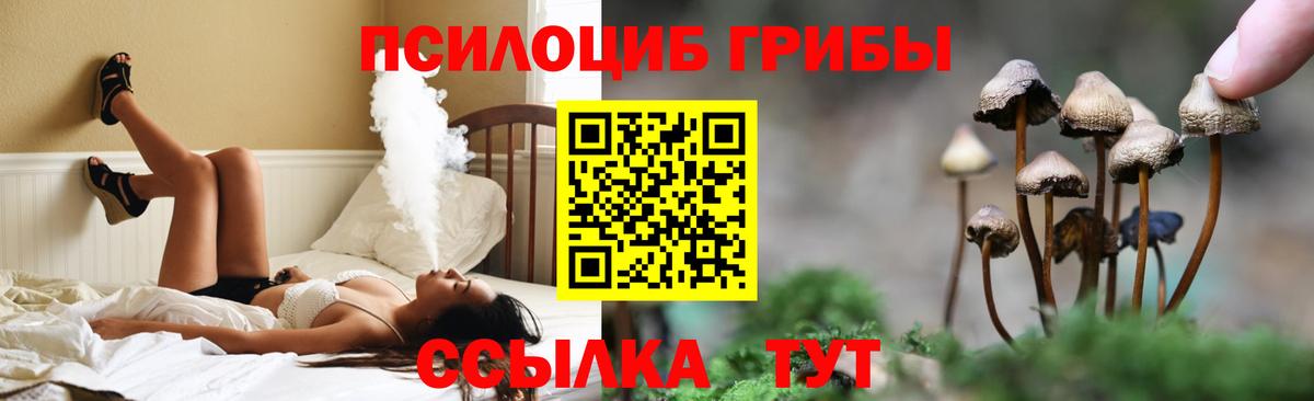 Солнечногорск  Псилоцибиновые грибы MAGIC MUSHROOMS  купить закладку  Галлюциногенные грибы прущие грибы  Вход с VPN 
